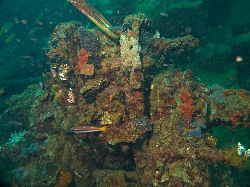 Wreck, Japanese Patrolboat